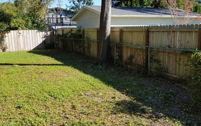 Photo of Robert B.'s yard after getting landscaping in Geneva, FL