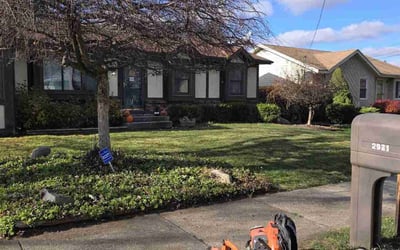 Photo of Jemila A.'s yard after getting tree care in Grand Rapids, MI