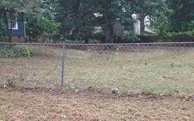 Photo of Dee T.'s yard after getting landscaping in Raeford, NC