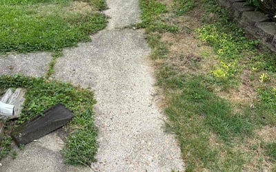 Photo of Michelle P.'s yard after getting landscaping in Virginia Beach, VA