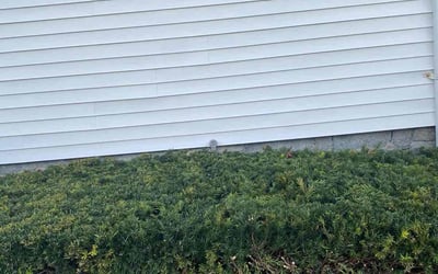 Photo of Robert S.'s yard after getting landscaping in Hingham, MA