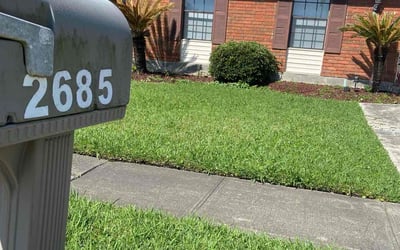 Photo of Jackie R.'s yard after getting landscaping in Gretna, LA