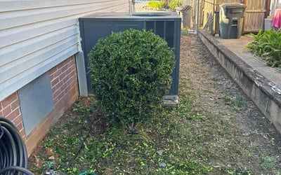 Photo of Tammie W.'s yard after getting landscaping in Monroe, NC