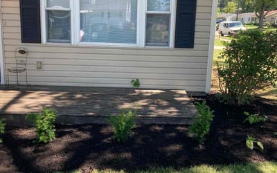 Photo of Nicole N.'s yard after getting landscaping in Silver Grove, KY