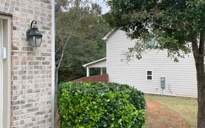 Photo of Nadege L.'s yard after getting tree care in Roswell, GA