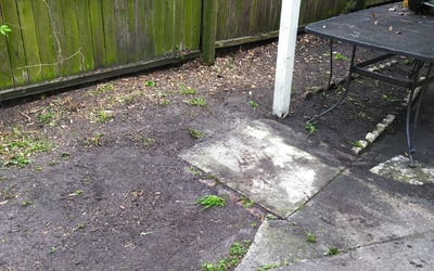 Photo of Sean C.'s yard after getting landscaping in Saint Augustine, FL