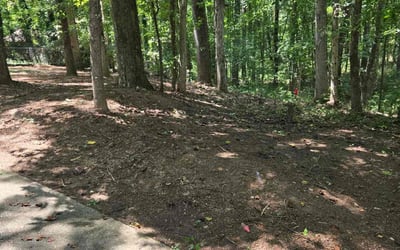 Photo of Kimberly C.'s yard after getting tree care in Roswell, GA