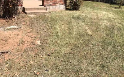 Photo of Chris N.'s yard after getting landscaping in Wellston, OK