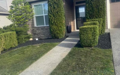 Photo of Andrew P.'s yard after getting landscaping in Snohomish, WA