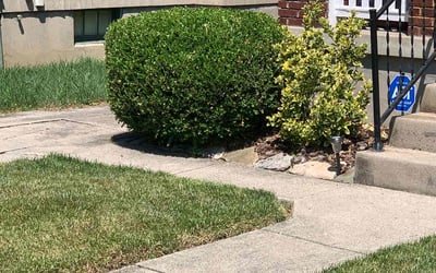 Photo of Monique C.'s yard after getting landscaping in Sardinia, OH
