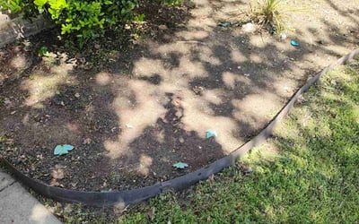 Photo of James H.'s yard after getting landscaping in Indian Trail, NC