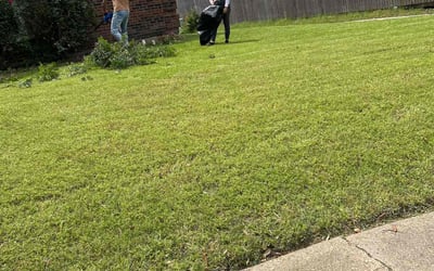 Photo of David W.'s yard after getting landscaping in Garland, TX