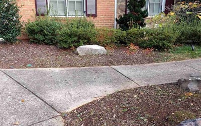 Photo of Mark E.'s yard after getting landscaping in Rydal, GA