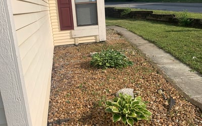 Photo of Karl M.'s yard after getting landscaping in Franklin, IN