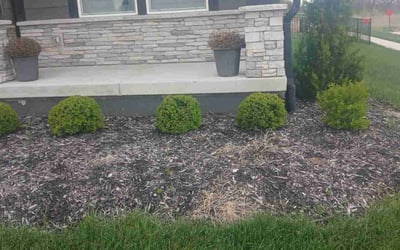 Photo of Jay W.'s yard after getting landscaping in Kingston, MO