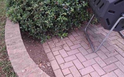Photo of Anissa H.'s yard after getting landscaping in Port Aransas, TX