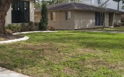 Photo of Jay Z.'s yard after getting tree care in Houston, TX