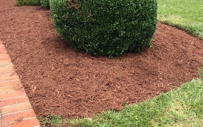 Photo of Charles H.'s yard after getting landscaping in Nanjemoy, MD