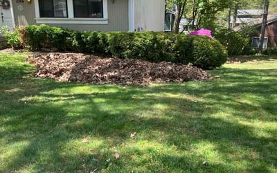 Photo of Kathleen M.'s yard after getting landscaping in Fairfax, VA