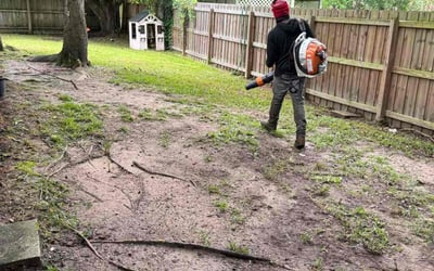 Photo of Sarah V.'s yard after getting tree care in Penney Farms, FL