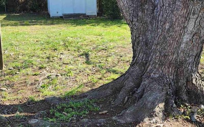Photo of Teresa G.'s yard after getting landscaping in Vale, NC