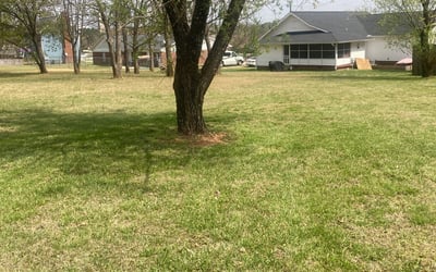Photo of BARBARA H.'s yard after getting landscaping in Benson, NC