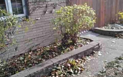 Photo of Mike M.'s yard after getting landscaping in Norwood Young Americ, MN