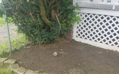 Photo of DEBORAH F.'s yard after getting landscaping in Lithopolis, OH