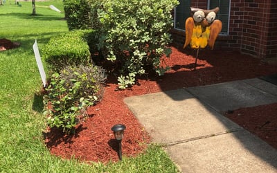 Photo of Todd T.'s yard after getting landscaping in Industry, TX