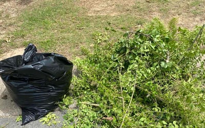 Photo of Scott W.'s yard after getting landscaping in Little Rock, AR