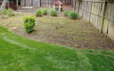 Photo of Austin C.'s yard after getting landscaping in Charles City, VA