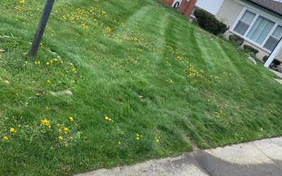 Photo of Steven H.'s yard after getting landscaping in Howell, MI