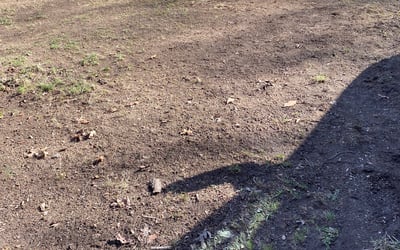 Photo of Chad M.'s yard after getting landscaping in New Fairfield, CT