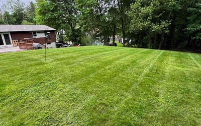 Photo of Tina P.'s yard after getting landscaping in Sterling, MA