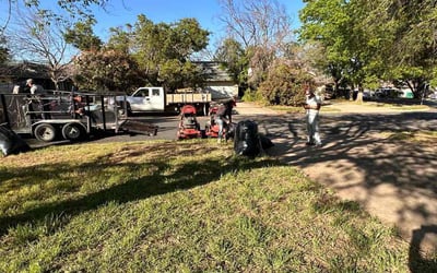 Photo of Evelyn L.'s yard after getting landscaping in Smithville, TX