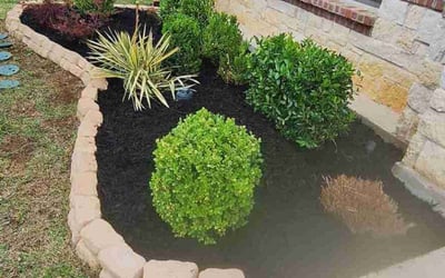 Photo of Karen C.'s yard after getting landscaping in Celina, TX