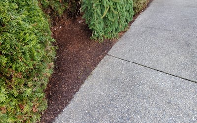Photo of Manasa V.'s yard after getting landscaping in Pacific, WA
