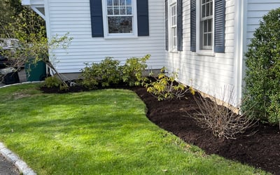 Photo of Alex B.'s yard after getting landscaping in Riverside, CT
