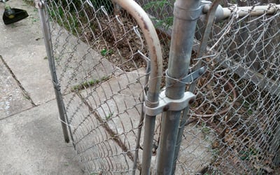 Photo of Alex W.'s yard after getting tree care in Broken Arrow, OK
