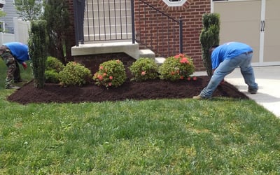 Photo of Edward S.'s yard after getting landscaping in The Plains, VA