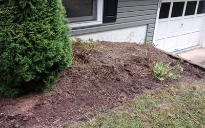 Photo of Ashley B.'s yard after getting landscaping in Weaverville, NC