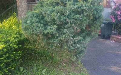 Photo of Edward S.'s yard after getting landscaping in West Chester, PA
