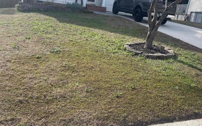 Photo of Michael O.'s yard after getting landscaping in Bunn, NC