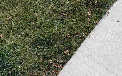 Photo of Jen Z.'s yard after getting lawn care in Urbandale, IA