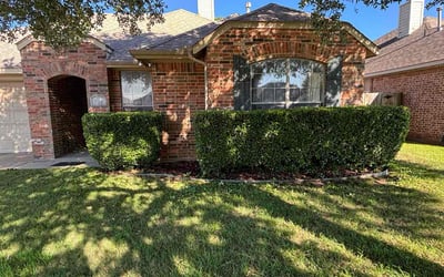 Photo of Jim C.'s yard after getting landscaping in Cleburne, TX