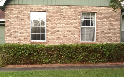 Photo of Shirley W.'s yard after getting landscaping in Greensboro, FL