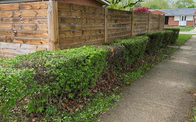 Photo of Larry S.'s yard after getting landscaping in Warren, MI