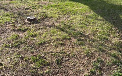 Photo of Andrew L.'s yard after getting landscaping in Grandview, MO