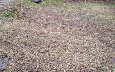 Photo of John H.'s yard after getting landscaping in Hayes, VA