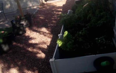 Photo of Robert M.'s yard after getting landscaping in Eloy, AZ